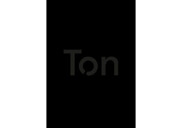 TON Brandbook
