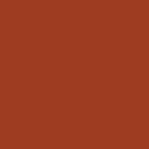 Terracotta / NCS S 3560-Y70R