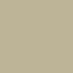Sand (Sabbia) / NCS 3010 - Y  + 312 ₴ 