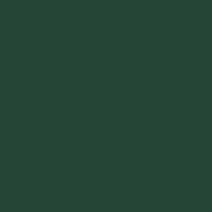 Для улицы | 6020F-E Forest green 