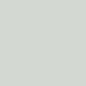 R7035 Light grey 