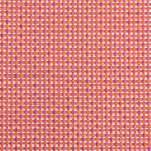 300/44 Raspberry 