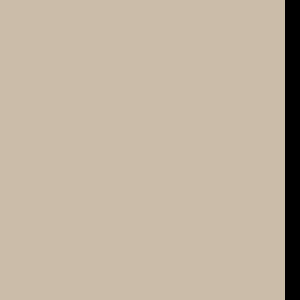 HPL | 247 [черная кромка] 