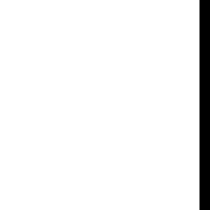 HPL | WHITE [черная кромка] 