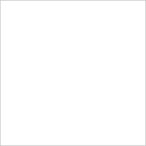 [white core] WHITE 
