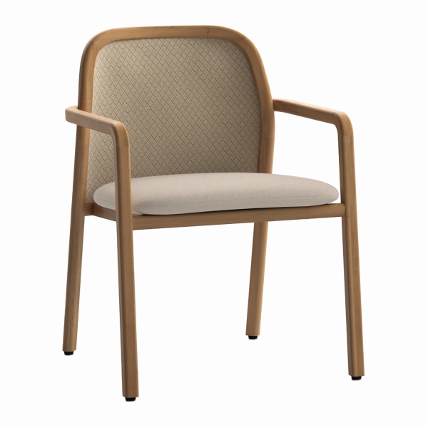 Fauteuil d’extérieur en bois tapissé